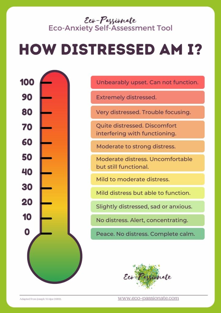 Eco-Anxiety Self-Assessment Tool by Eco-Passionate